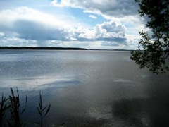 земля на воде Земельный участок в д.Перетрясово, Кашинский район (63 сотки)